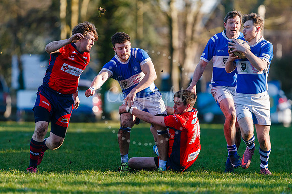 Diss RFC v Wisbech RFC