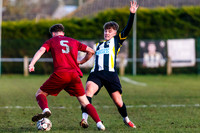 Harleston Town v Thetford Town