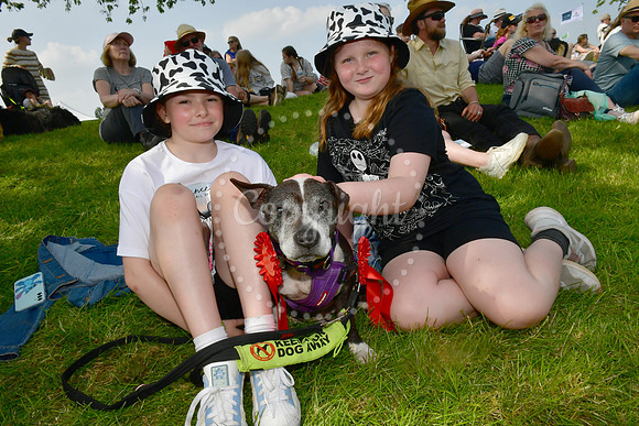 Nottingham County Show