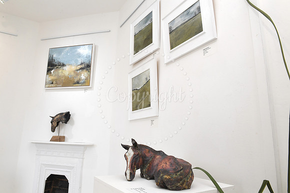 New art and ceramics exhibition at Gallery 6