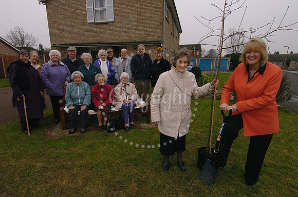Downing Court Swaffham celerbrate their 30th birthday