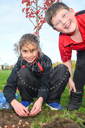 The Severals, Newmarket Pupils from Fairstead House School plant