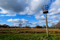 Wortham Common