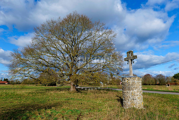 Wortham Common