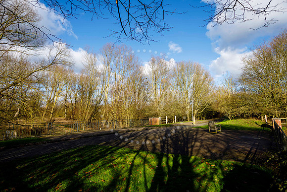 Scole Pocket Park
