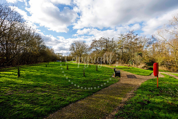 Scole Pocket Park