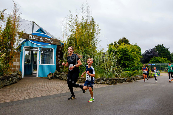 Run Banham Zoo 5K Race