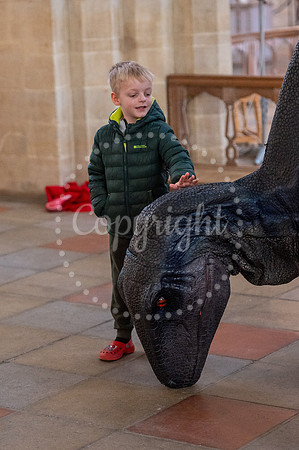 BFP St Edmundsbury Cathedral, Angel Hill, Bury St EdmundsSt Edm