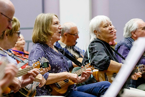 Ukele day held at the Cornhall in Diss