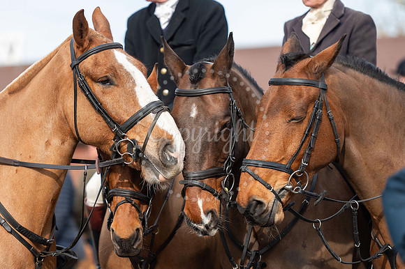 NJ Tattersalls Newmarket Thurlow Hounds meet.Picture by Mark Wes
