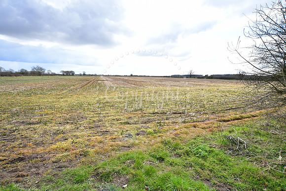 One Earth solar farm, Dunham on Trent
