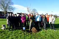 Community Tree Project