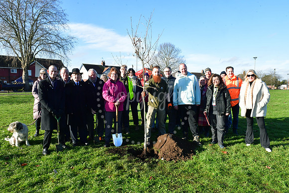 Community Tree Project