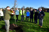 Community Tree Project