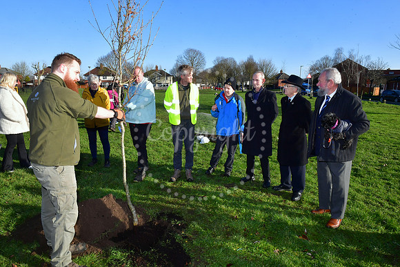 Community Tree Project