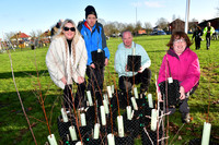 Community Tree Project