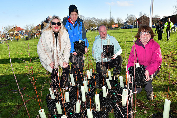 Community Tree Project