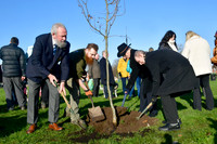 Community Tree Project