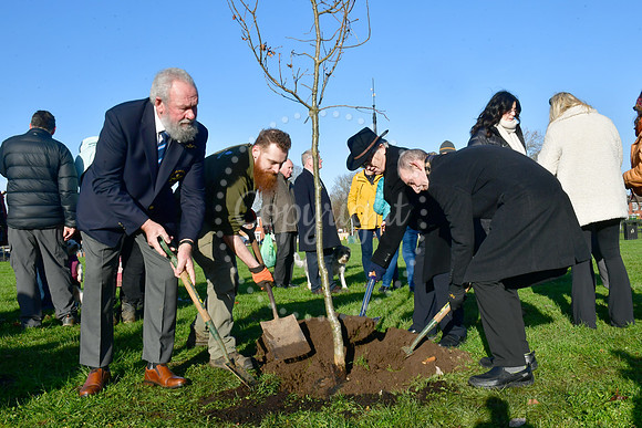 Community Tree Project