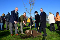 Community Tree Project