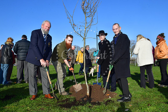 Community Tree Project