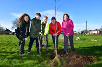 Community Tree Project