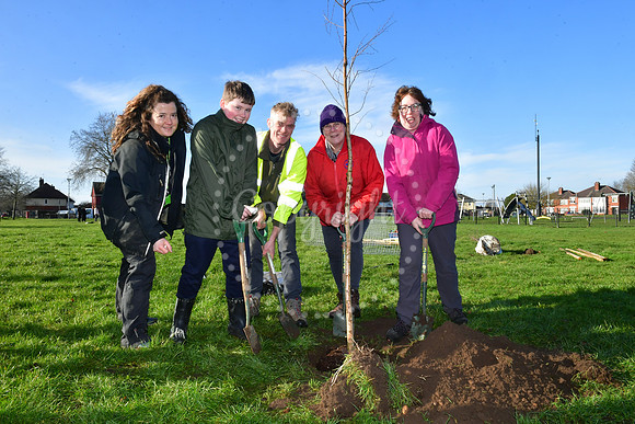 Community Tree Project