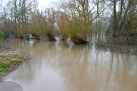 Flooding