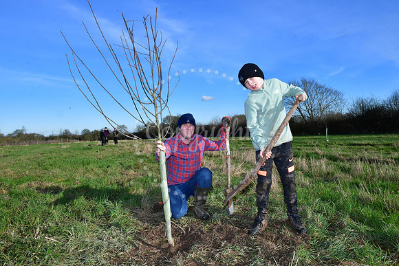 Tree planting at Thorney Abbey Farm