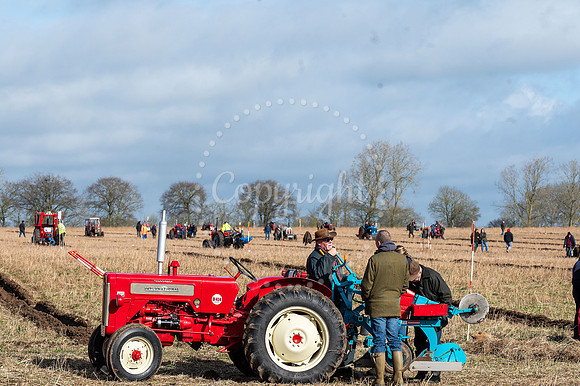 BFP  Little Liveremere - just opposite Stennetts Farm -  Annual
