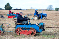 BFP  Little Liveremere - just opposite Stennetts Farm -  Annual