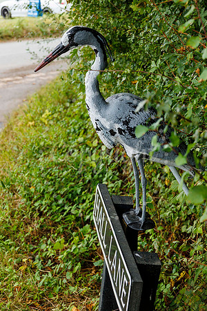 Bird Banksy