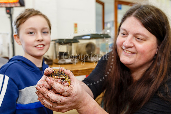 World Frog Day