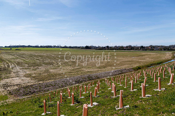 Long Stratton Bypass