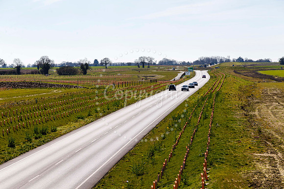 Long Stratton Bypass