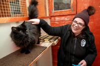 BFP Bury’s Stray Cat Fund, Friars Orchard, The Street Little W