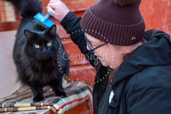 BFP Bury’s Stray Cat Fund, Friars Orchard, The Street Little W