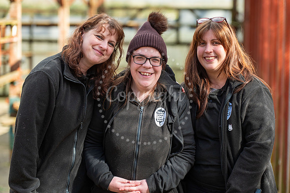 BFP Bury’s Stray Cat Fund, Friars Orchard, The Street Little W