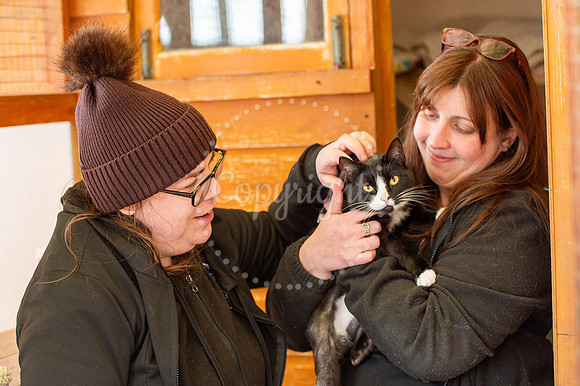 BFP Bury’s Stray Cat Fund, Friars Orchard, The Street Little W