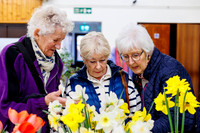 Diss and District Horticultural Society Spring Flower Show