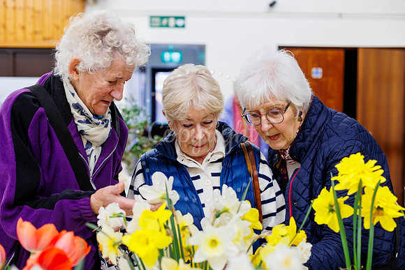 Diss and District Horticultural Society Spring Flower Show
