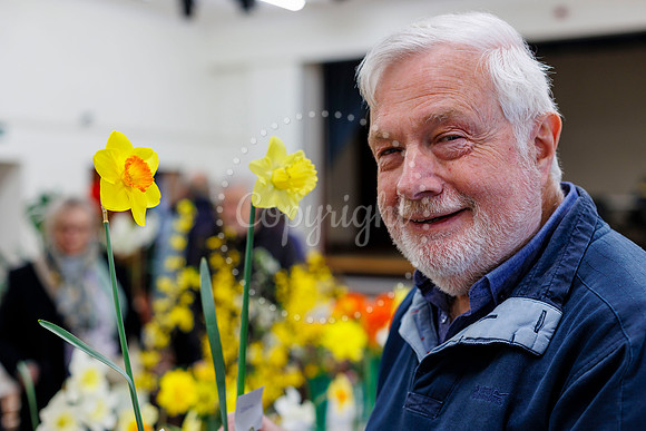 Diss and District Horticultural Society Spring Flower Show
