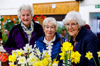 Diss and District Horticultural Society Spring Flower Show