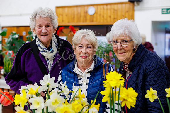 Diss and District Horticultural Society Spring Flower Show