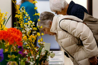 Diss and District Horticultural Society Spring Flower Show