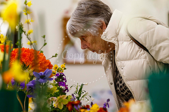 Diss and District Horticultural Society Spring Flower Show