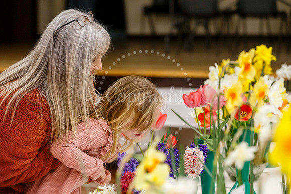 Diss and District Horticultural Society Spring Flower Show
