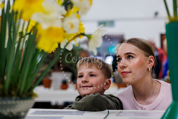 Diss and District Horticultural Society Spring Flower Show