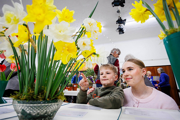 Diss and District Horticultural Society Spring Flower Show