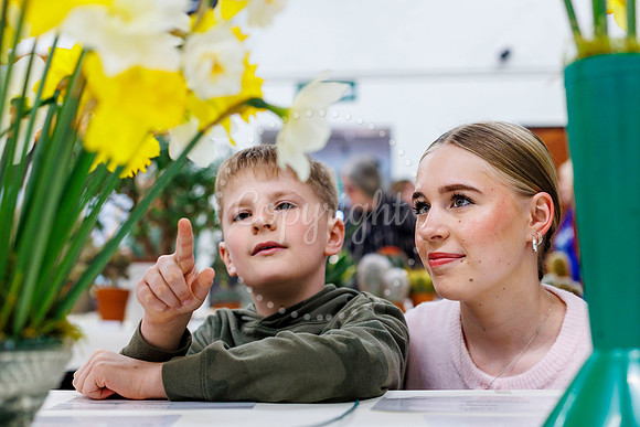 Diss and District Horticultural Society Spring Flower Show